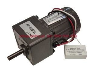 Motoreduktor 10W i=100