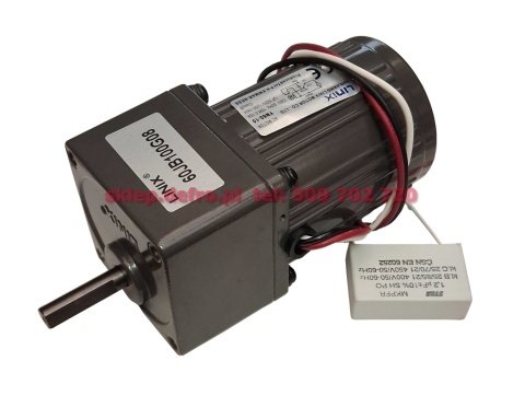 Motoreduktor 10W i=100